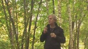 Эти слёзы Любви