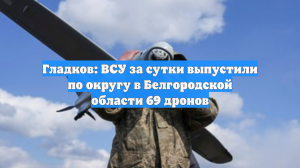 Гладков: ВСУ за сутки выпустили по округу в Белгородской области 69 дронов
