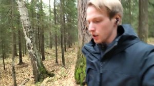 Новые тематики в тгк