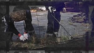 Ложные звонки. Последствия.