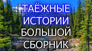 Тайны тайги_ Истории про лес_ Истории таёжных охотников_ Охотничьи байки