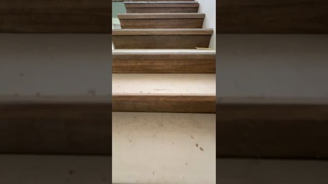 Дом с земельным участком, в РЕШЕТИХЕ смотреть онлайн