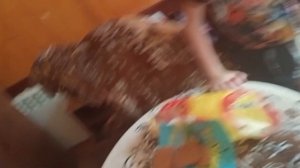 обед у бабы Зины