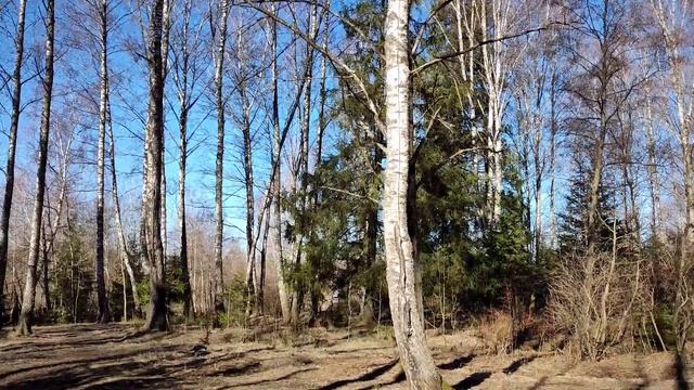 ВОТ И КОНЧАЕТСЯ МАРТ смотреть онлайн