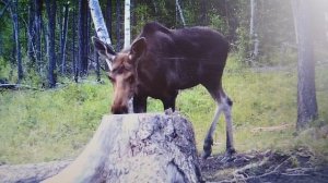 VID_20250922_173833.mp4