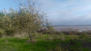 VID_20251001_082955.mp4