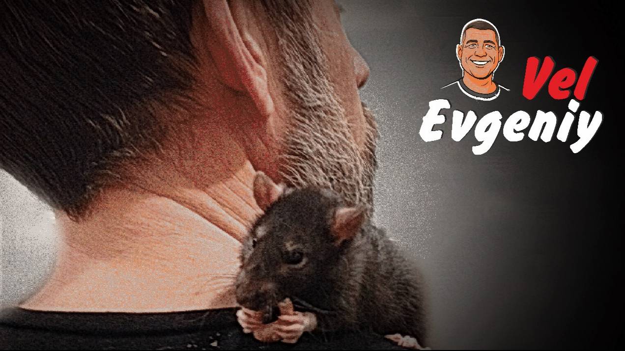 Сегодня я смотреть онлайн