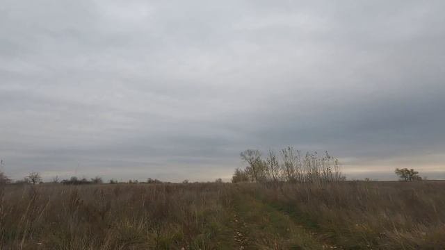 Поездка через посёлок Калиновка.😊