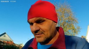 Культивирую огород культиватором "Крот".
