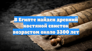 В Египте найден древний костяной свисток возрастом около 3300 лет