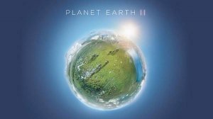 Сериал Планета Земля 2 — 4 серия / Planet Earth II