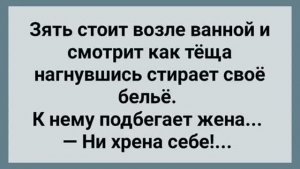 Зять Наблюдает за Тещей! Сборник Свежих Анекдотов! Юмор