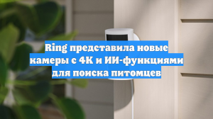 Ring представила новые камеры с 4K и ИИ-функциями для поиска питомцев