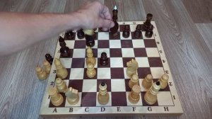 Шахматы. Гамбит Эванса. Как правильно его играть