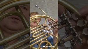 Ленинградская валторна in F для Максима