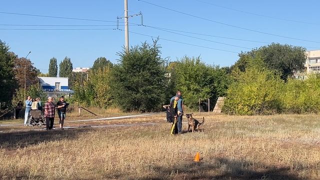 2 Отл. Энгеленд ИВЕТТА ИНТА +++ №20. ЭНГЕЛЬС 31 августа`25 Моно немецких овчарок