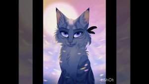 Коты воители