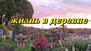 ЧЕМ МЫ ЗАНИМАЕМСЯ В ДЕРЕВНЕ, КОСТРОМСКАЯ ОБЛАСТЬ