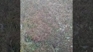 мысли материальны Если думаешь особым образом