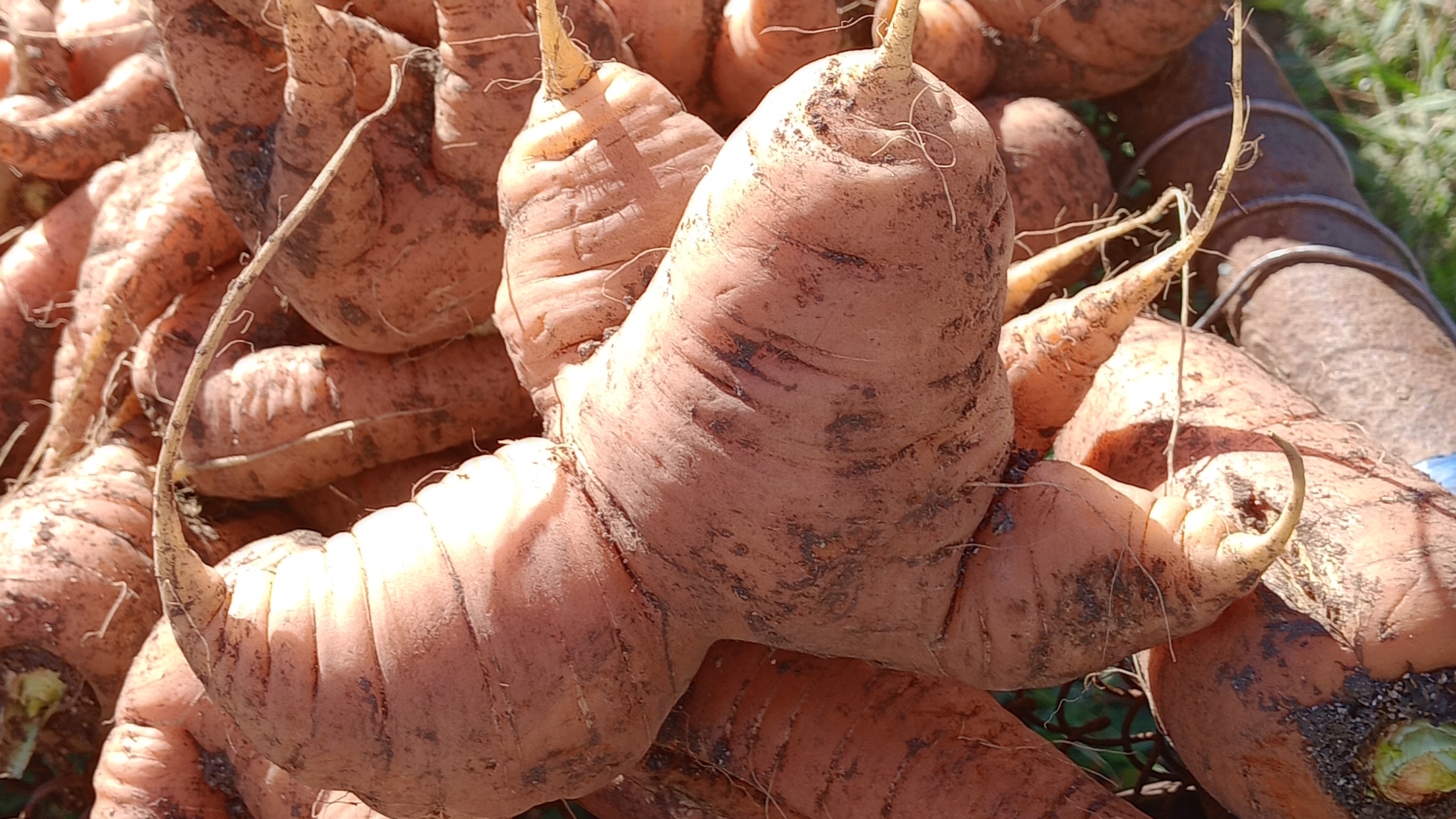 Марковь причудливой формы.