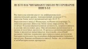 Эпидемиологическая характеристика группы кишечных инфекций Шигеллезы