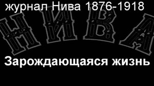 Зарождающаяся жизнь. описание  журнал Нива 1876-1918