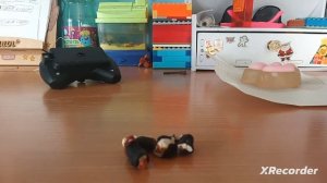 Глупые котята #2