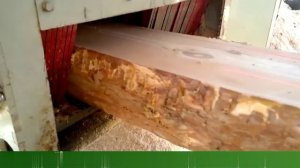 Деревообрабатывающий завод на основе многопильных станков Алтай