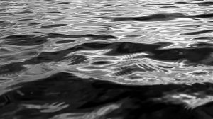 Бурӧн вочавидзан