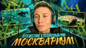 ПУТЕШЕСТВИЕ В ПОДВОДНЫЙ МИР | МОСКВАРИУМ