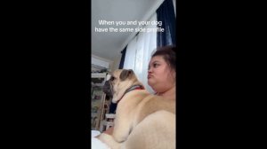 Сборник смешных видео 2