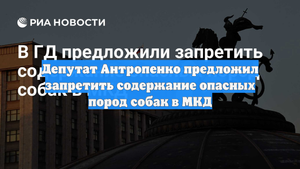 Депутат Антропенко предложил запретить содержание опасных пород собак в МКД