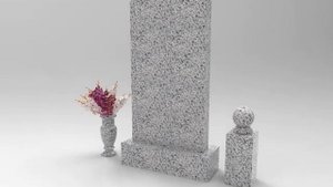 Памятники из гранита Шанси Блэк из Покостовского гранита из гранита Пар