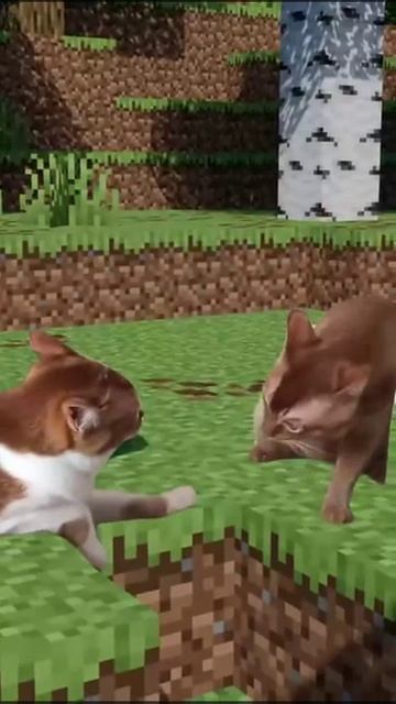 котэ-гифки-Minecraft-9075162 смотреть онлайн