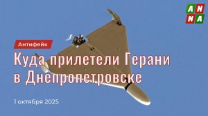 Куда прилетели Герани в Днепропетровске