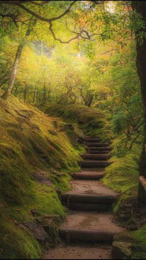 Мои тропинки