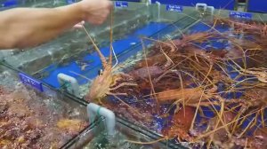 Два блюда из свежих омаров и три блюда из свежих грязевых крабов.