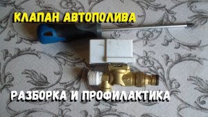Клапан автополива разбираю, профилактика перед зимой