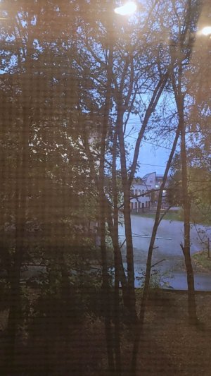 Первый стрим из дома!