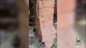 Более 60 кг марихуаны изъято полицией в Ростовской области