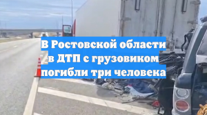 В Ростовской области в ДТП с грузовиком погибли три человека