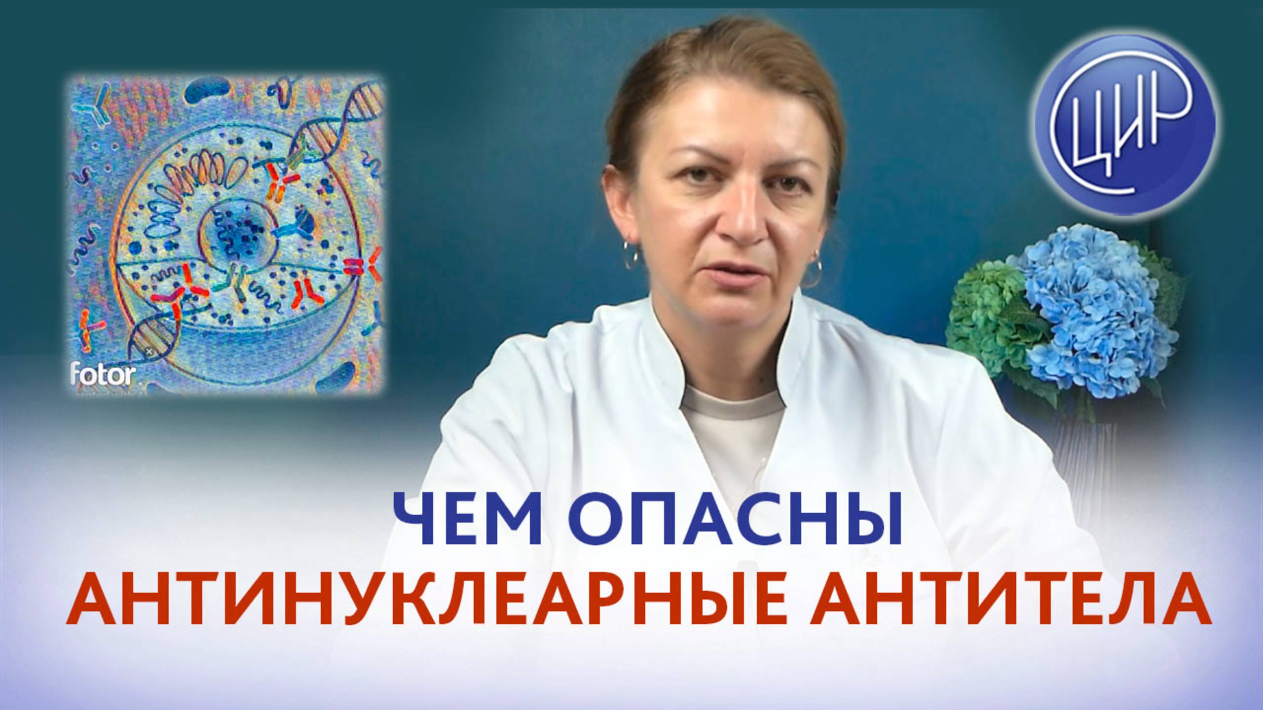 Антинуклеарные антитела что это такое и чем они опасны во время и вне беременности.