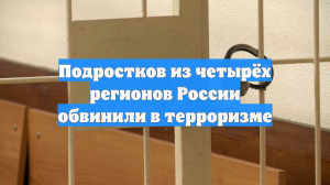 Подростков из четырёх регионов России обвинили в терроризме