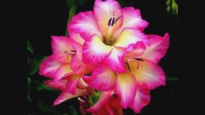 МЕЛОДИЯ ДЛЯ ОТДЫХА И РАССЛАБЛЕНИЯ