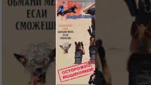 Лев взаперти