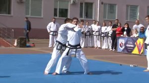 Вытупление тэквондистов