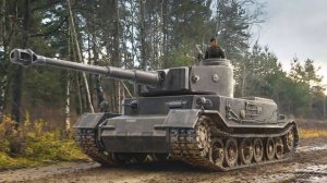 Tiger (P)-МАСТЕРОК!!!