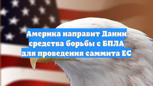 Америка направит Дании средства борьбы с БПЛА для проведения саммита ЕС