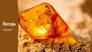 Янтарь