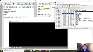 2.13. Reading bytes with the lodsb instruction